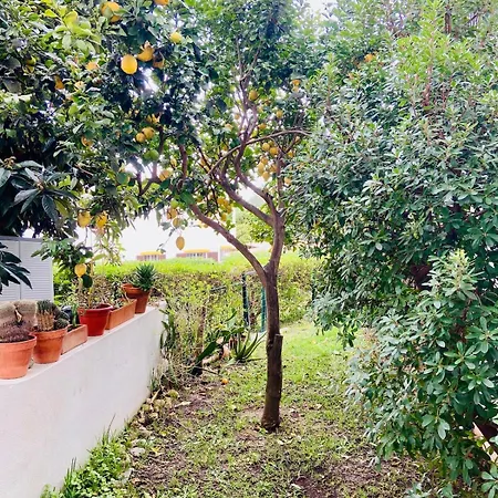 Appartement With Pool 300 Meters From The *